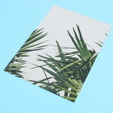 Max Photography Stuido Backdrop Leaf Card Picture Tropical Plant Leaf