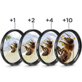 Maxbell Close-up Filter Kit +1 +2 +4 +10 Lens Set for Digital Cameras  46mm