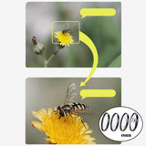 Maxbell Close-up Filter Kit +1 +2 +4 +10 Lens Set for Digital Cameras  46mm