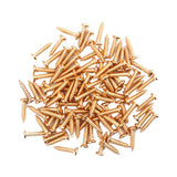 Maxbell 100 Pieces Tuning Peg Tuner Mounting Screws for Guitar Bass Golden