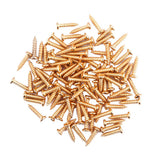 Maxbell 100 Pieces Tuning Peg Tuner Mounting Screws for Guitar Bass Golden