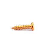 Maxbell 100 Pieces Tuning Peg Tuner Mounting Screws for Guitar Bass Golden