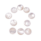 Maxbell 10 Pieces White Shell Guitar Knob Marking Repair Parts