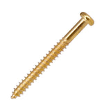 Max Electric Bass Guitar Humbucker Pickups Adjust Height Screws Springs  Gold