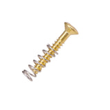 Max 6 Pieces Electric Guitar Single Coil Humbucker Pickup Screws&Springs 3x20mm