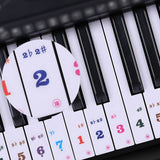 Maxbell Transparent 61 Key Piano Key Stickers Decal Keyboard Instrument Parts for Beginner 9.25x4.41inch