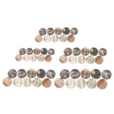 Max Maxb 10 PCS Guitar Dots  Inlay Dots Inlay for Guitar Ukulele Accessory 11mm