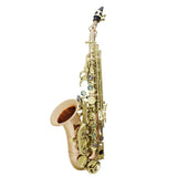 Maxbell Professional Soprano Saxophone Sax Wind Instrument Pink