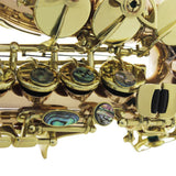Maxbell Professional Soprano Saxophone Sax Wind Instrument Pink