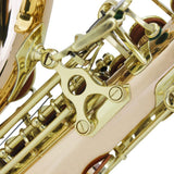 Maxbell Professional Soprano Saxophone Sax Wind Instrument Pink