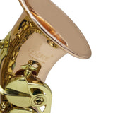 Maxbell Professional Soprano Saxophone Sax Wind Instrument Pink