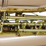 Maxbell Professional Soprano Saxophone Sax Wind Instrument Pink