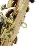 Maxbell Professional Soprano Saxophone Sax Wind Instrument Pink