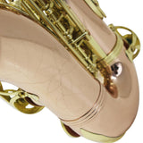 Maxbell Professional Soprano Saxophone Sax Wind Instrument Pink