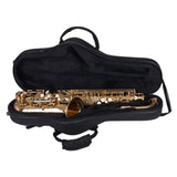 Max Maxb Alto Saxophone Carrying Gig Bag Handbag Black