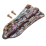 Maxbell Shell Electric Guitar Replacement Truss Rod Cover with Mounting Screws