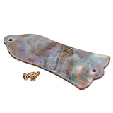 Maxbell Shell Electric Guitar Replacement Truss Rod Cover with Mounting Screws