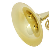 Max Maxb Three Button Brass Instrument Trumpet with Cleaning Care Kit Accessory