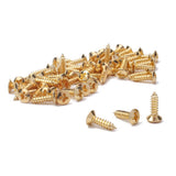 Max Maxb 100pcs Bass Guitar Pickguard Screws For Electric Guitar Bass 3x12mm Golden