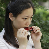 Max Maxb IRIN 10 Holes 20 Tone G Key Tremolo Harmonica Mouth Organ Wind Instrument