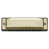 Maxbell 10 Hole 20 Tone G Adjustable ajor Diatonic Harmonica Mouth Organ Instrument