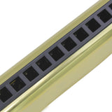 Maxbell 10 Hole 20 Tone G Adjustable ajor Diatonic Harmonica Mouth Organ Instrument