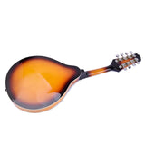 Maxbell 8 String Acoustic Mandolin Basswood Sunburst Music Instruments