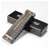 Maxbell Blues Harmonica Diatonic Harp Mouth Organ 10 Hole Musical Instrument Silver