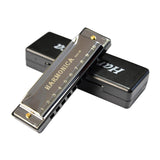 Maxbell Blues Harmonica Diatonic Harp Mouth Organ 10 Hole Musical Instrument Silver