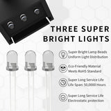 Maxbell LED Guitar Wall Mount Bracket Support Stand Display for Ukulele  Green Light