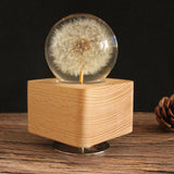 Maxbell Music Box Base Home Decoration 360 Degree Rotating for Christmas Valentines