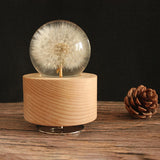 Maxbell Music Box Base Home Decoration 360 Degree Rotating for Christmas Valentines