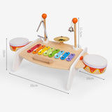 Maxbell Multifunction Xylophone Musical Toy Montessori Toy for Girls Beginner Boys