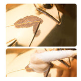 Maxbell Sax Rust Remover Practical 20ml Sax Brightener for Saxophone Wind Flute Oboe