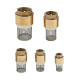 Maxbell Brass Foot Valve Mesh Check Valve with Strainer Filter DN20