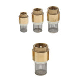 Maxbell Brass Foot Valve Mesh Check Valve with Strainer Filter DN20