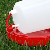 Max Maxb Plastic Chick Waterer Domestic Fowl Feeding Water Supplies 2.5L