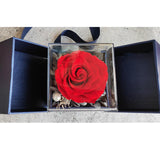 Maxbell Natural Preserved Rose Eternal Rose for Valentines Day Mothers Day Women red
