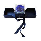 Maxbell Natural Preserved Rose Eternal Rose for Valentines Day Mothers Day Women blue