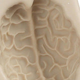 Maxbell Silicone Fondant Molds DIY Resin Chocolate Mold for Baking Brain Light Gray