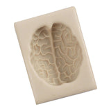 Maxbell Silicone Fondant Molds DIY Resin Chocolate Mold for Baking Brain Light Gray