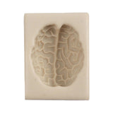 Maxbell Silicone Fondant Molds DIY Resin Chocolate Mold for Baking Brain Light Gray