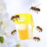 Maxbell Bee Marking Catchers Beekeeping Equipment Mark Tool for Beekeepers Yellow