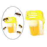 Maxbell Bee Marking Catchers Beekeeping Equipment Mark Tool for Beekeepers Yellow
