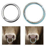 Maxbell Multifunction Cattle Nose Ring Durable Nose Circle Easy to Use for Supplies L