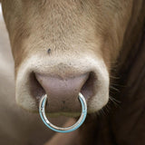 Maxbell Multifunction Cattle Nose Ring Durable Nose Circle Easy to Use for Supplies L