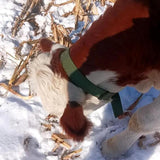 Maxbell Thickened Cow Neck Collar Adjustable Farm Animals Selection for Farm Hunting 130cm