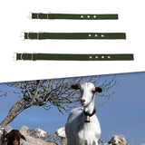 Maxbell Portable Cow Neck Strap Thicken Sturdy Canvas for Farm Animal Sheep Horse 14.56in