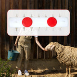 Maxbell Farm Feeder Pet Nursing Station Silicone for Sheep Small Newborn Pets Rabbit