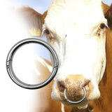 Maxbell Cattle Nose Ring Smooth Husbandry Accessory Durable for Supplies Accessories L